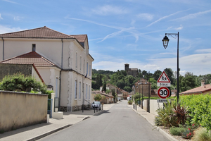 Enlèvement arbre urgence Châteauroux